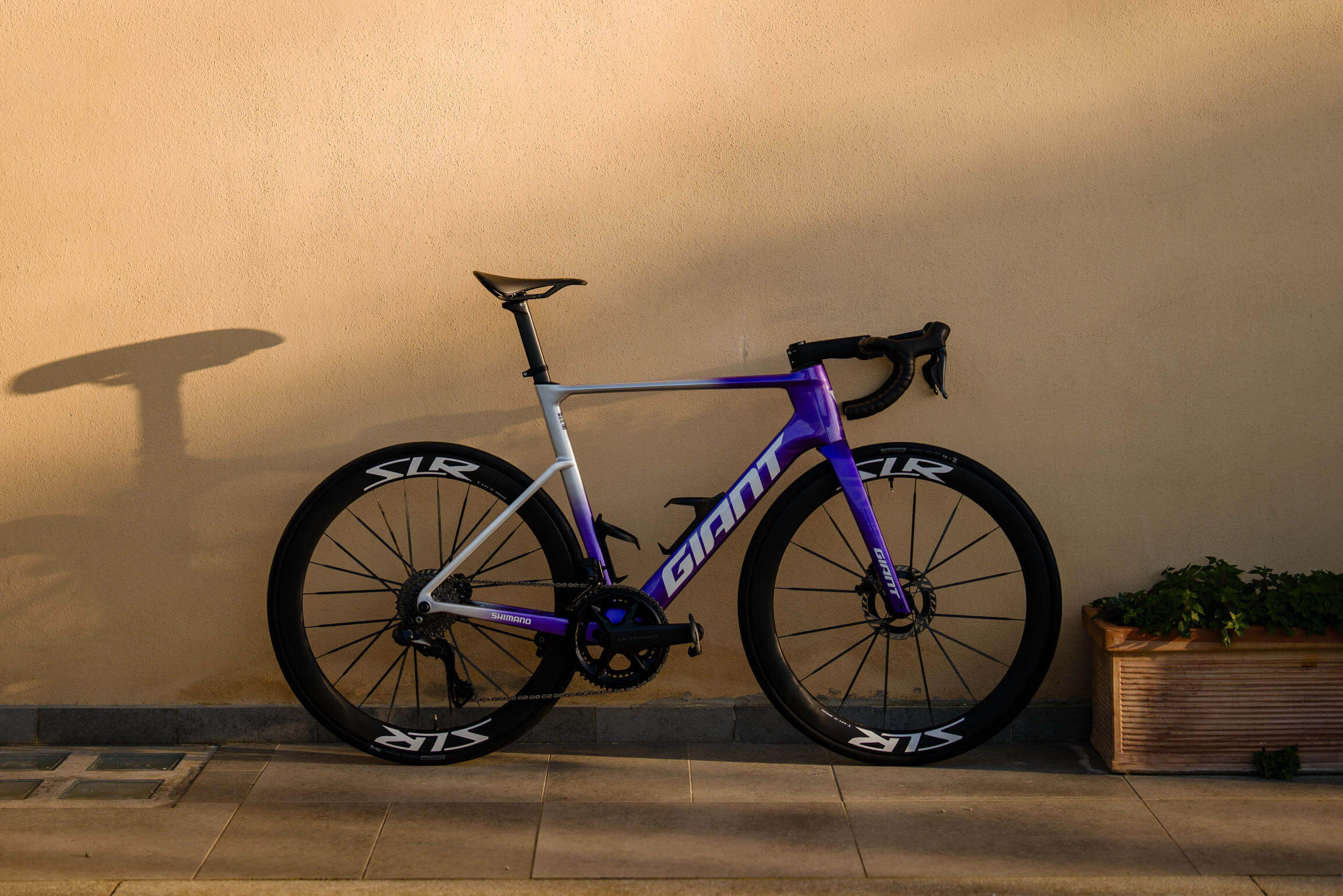 Axeon Cycling Team bike